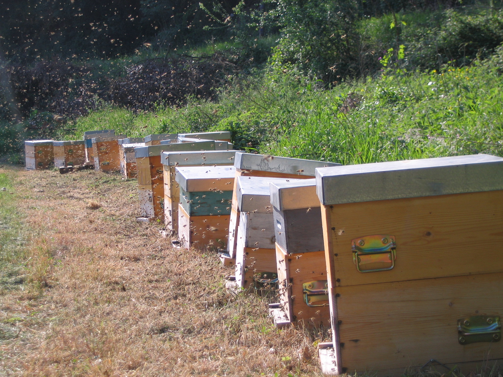 Vente à la ferme de miel et huile essentielle de lavande à Bonnieux